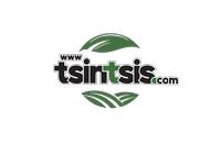 TSINTSIS MICHALIS