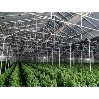 I. E. DIAMANTOPOULOS & Co - Greenhouses Manufacturing